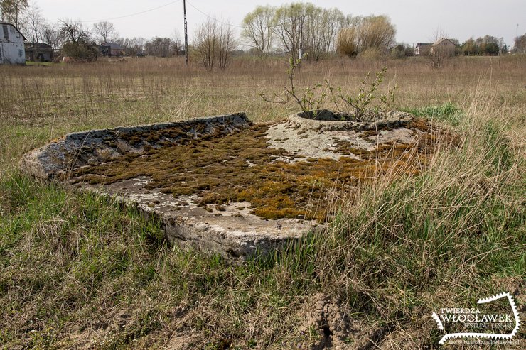 Ciekawe jak długo ocaleją?